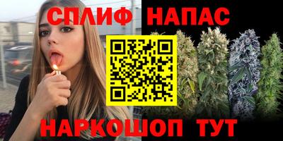 соль ск Аша