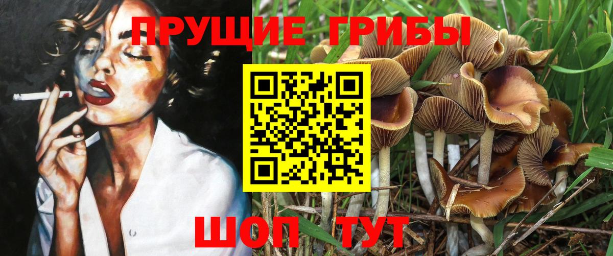 Псилоцибиновые грибы GOLDEN TEACHER Кудымкар